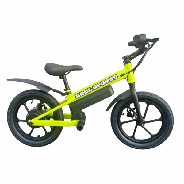 16" Kids Electric Bike KEBK16