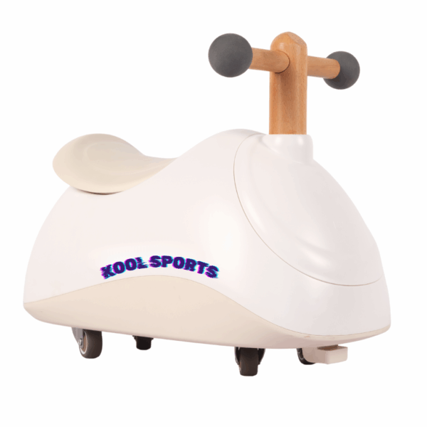 2-in-1 Swing Stroller TD001