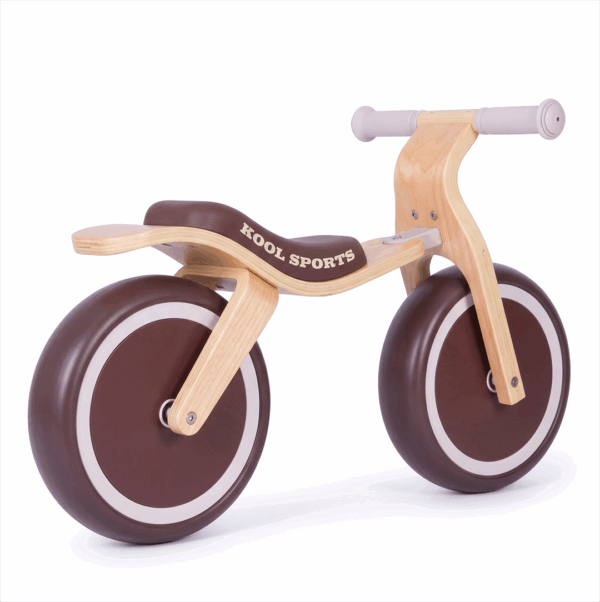 TD002-2 Walking Bike TD002