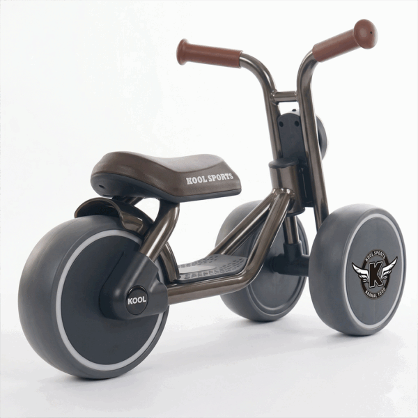 TD005-2 Walking Bike TD005